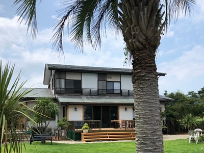 The garden hotel with DOG